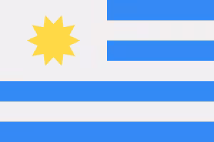 UY flag